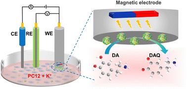 Magnetic MOF composites for the electrocatalysis and biosensing of dopamine released from living cells†