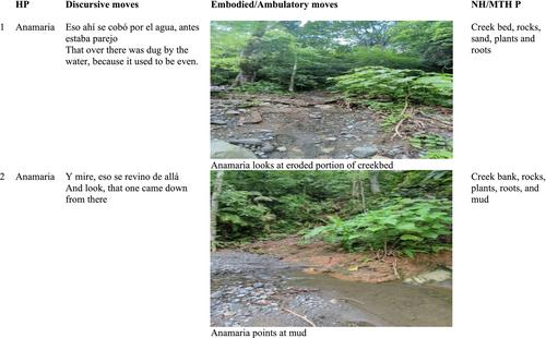 Land-based literacies in local naturecultures: Walking, reading, and storying the forests in rural Colombia