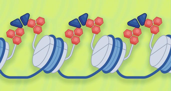 Heterochromatin as a balancing act between transcription and gene silencing