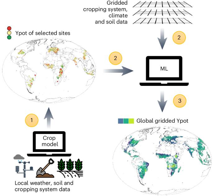 High-resolution global maps of yield potential with local relevance for targeted crop production improvement