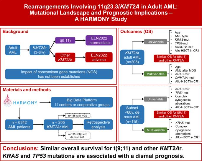 Rearrangements involving 11q23.3/KMT2A in adult AML: mutational landscape and prognostic implications – a HARMONY study