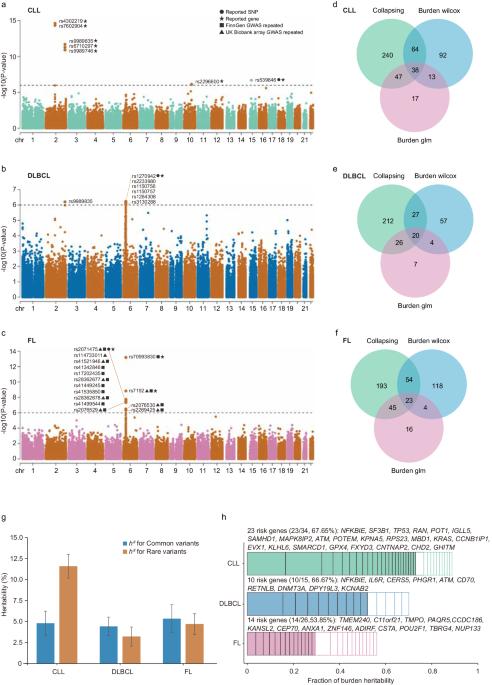 Common and rare variants in genetic susceptibility analysis of mature B-cell neoplasm subtypes by whole exome sequencing