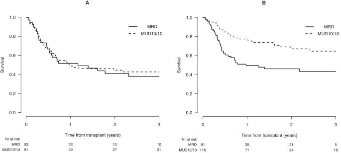 Older MRD vs. younger MUD in patients older than 50 years with AML in remission using post-transplant cyclophosphamide