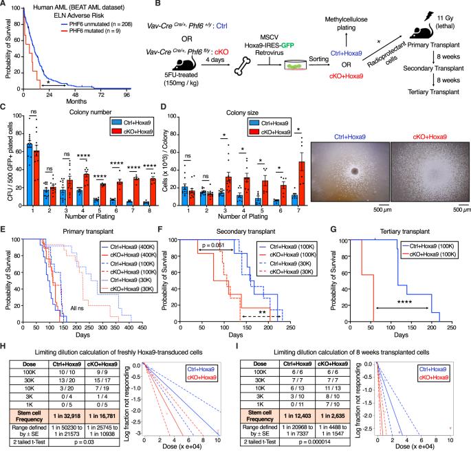 PHF6 suppresses self-renewal of leukemic stem cells in AML