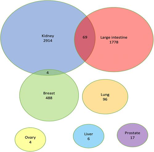 Identifying actionable synthetically lethal cancer gene pairs using mutual exclusivity