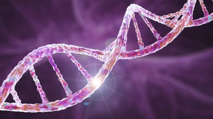 UNC93B1 variants promote SLE via TLR activation