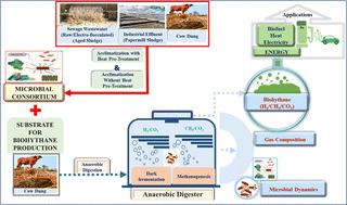 Production of biohythane from cow dung using novel microbial synthetic consortia designed by heat-treated and acclimatized combined wastes†