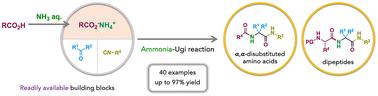 Ammonium carboxylates in the ammonia-Ugi reaction: one-pot synthesis of α,α-disubstituted amino acid derivatives including unnatural dipeptides†