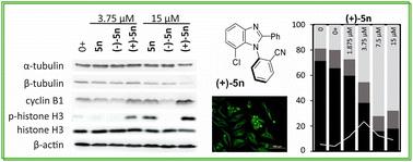 Atropisomeric 1-phenylbenzimidazoles affecting microtubule organization: influence of axial chirality†