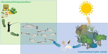 Recreational fishing expenditure as an indicator of coastal wetland habitat value