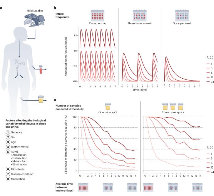 Towards nutrition with precision: unlocking biomarkers as dietary assessment tools