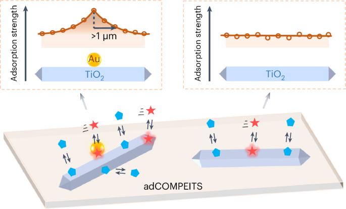 Long-range enhancements of micropollutant adsorption on metal-promoted photocatalysts