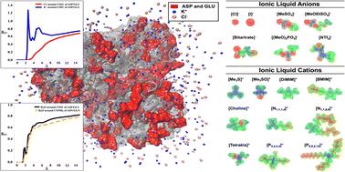 Ion-combination specific effects driving the enzymatic activity of halophilic alcohol dehydrogenase 2 from Haloferax volcanii in aqueous ionic liquid solvent mixtures†