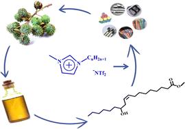 Synthesis of high molecular weight poly(ricinoleic acid) via direct solution polycondensation in hydrophobic ionic liquids†