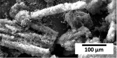 Polymer composites with carbon nanotubes made from CO2†