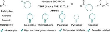 A cooperative nanoscale ZnO–NiO–Ni heterojunction for sustainable catalytic amidation of aldehydes with secondary amines†