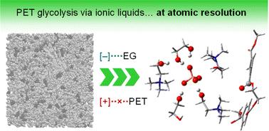 Catalytic function of ionic liquids in polyethylene terephthalate glycolysis by molecular dynamics simulations†