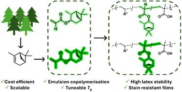 Sustainable, upscaled synthesis of pinene-derived (meth)acrylates and their application as high Tg monomers in styrene/acrylic-based bioderived copolymer coatings†