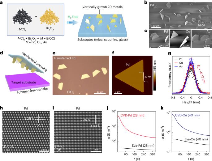 Vertically grown metal nanosheets integrated with atomic-layer-deposited dielectrics for transistors with subnanometre capacitance-equivalent thicknesses