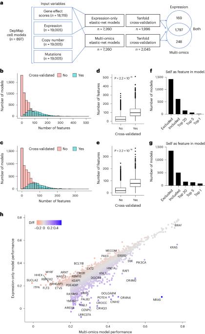 Building a translational cancer dependency map for The Cancer Genome Atlas