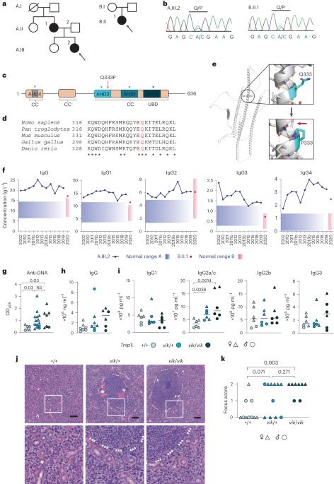 A TNIP1-driven systemic autoimmune disorder with elevated IgG4