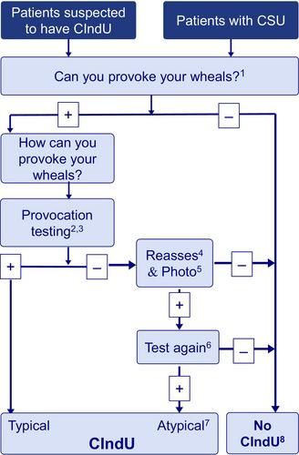 An algorithm for the diagnosis and treatment of chronic inducible urticaria, 2024 update