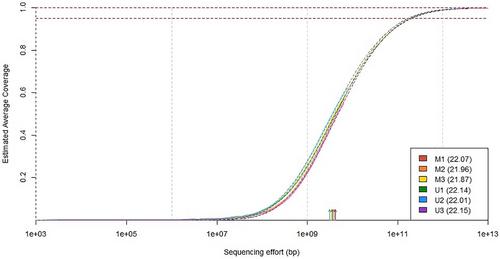 Microbial diversity and gene abundance in denitrifying bioreactors: A comparison of the woodchip surface biofilm versus the interior wood matrix