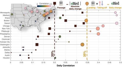 Nocturnal avian migration drives high daily turnover but limited change in abundance on the ground