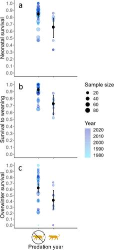 Direct and indirect effects of cougar predation on bighorn sheep fitness