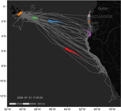 move2: R package for processing movement data