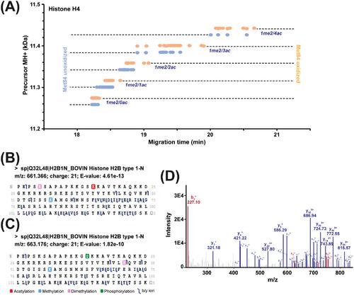 Combining SDS-PAGE to capillary zone electrophoresis-tandem mass spectrometry for high-resolution top-down proteomics analysis of intact histone proteoforms