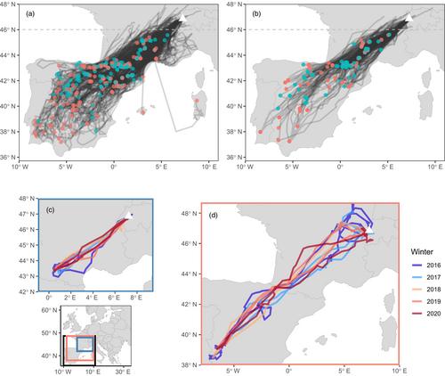 Ontogeny of migration destination, route and timing in a partially migratory bird