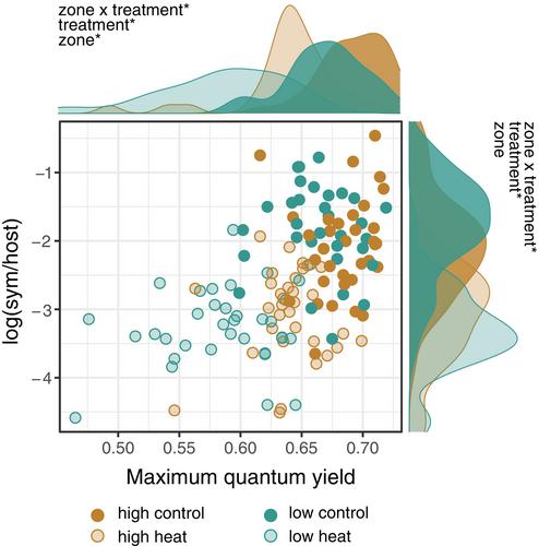 Microhabitat acclimatization alters sea anemone–algal symbiosis and thermal tolerance across the intertidal zone