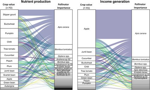 Agricultural specialisation increases the vulnerability of pollination services for smallholder farmers