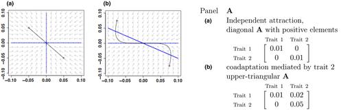 Fast mvSLOUCH: Multivariate Ornstein–Uhlenbeck-based models of trait evolution on large phylogenies