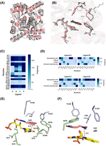 Biochemical, kinetic, and structural characterization of a Bacillus tequilensis nitroreductase