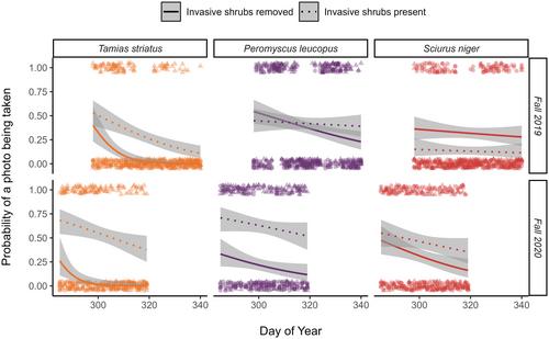 Invasive shrubs differentially alter autumnal activity for three common small-mammal species