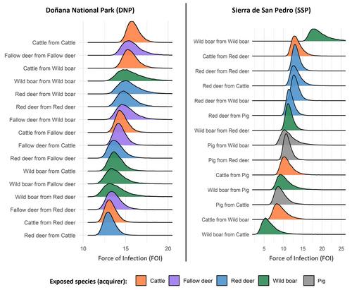 Movement-driven modelling reveals new patterns in disease transmission networks