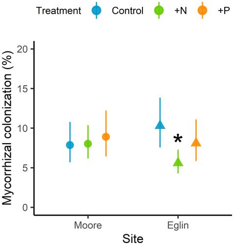 Phosphorus controls symbiotic nitrogen fixation in fire-dependent longleaf pine savannas