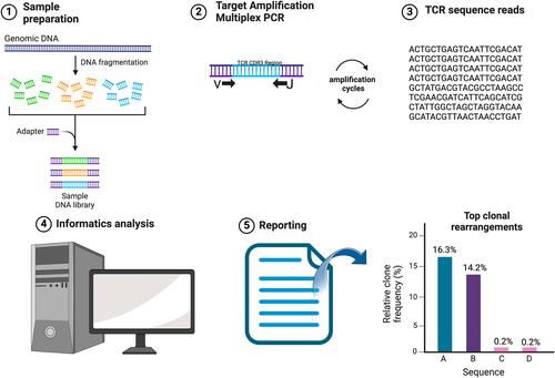 Assessing T-cell receptor clonality by next-generation sequencing in atypical cutaneous lymphoid infiltrates and cutaneous T-cell lymphoma: A scoping review