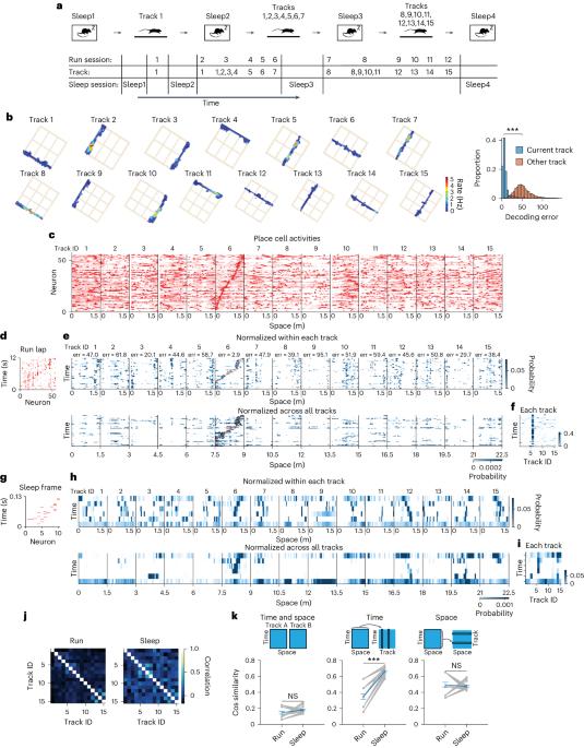 Nested compressed co-representations of multiple sequential experiences during sleep