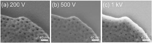 Surface Insights of Mesoporous Fragile Organic Materials Under Ultra-Low-Voltage Directed by Gemini Column