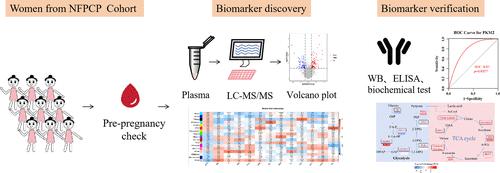 Plasma Proteomics Analysis of Early Biomarkers for Predicting Female Fecundability: A Nested Case-Control Study