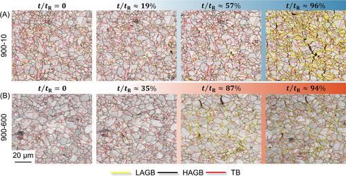 Creep damage evolution by cavity nucleation and growth considering the cavity closure under cyclic loading conditions