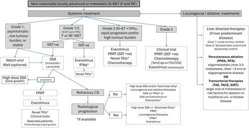 European Neuroendocrine Tumor Society (ENETS) 2024 guidance paper for the management of well-differentiated small intestine neuroendocrine tumours