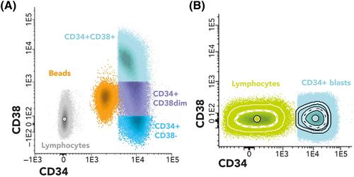 Immunophenotypic features of early haematopoietic and leukaemia stem cells