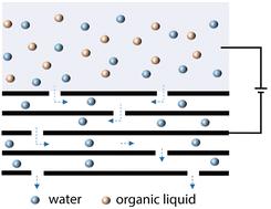 Spontaneous and rapid electrostatic solvent nanofiltration based on a conductive layered membrane†