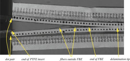 The effect of fiber bridging on mode I fatigue delamination propagation—Part II: Cohesive zone model