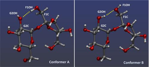 Revealing elusive conformations of sucrose from hydrogen bond J-coupling in H2O: A combined NMR and quantum mechanics study