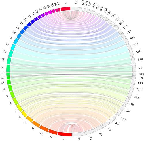 EquCab_Finn: A new reference genome assembly for the domestic horse, Finnhorse